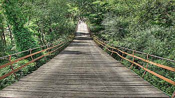 wonderful hanging bridge in the jungle r, slats, hanging, bridge, r, jungle HD wallpaper