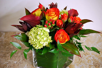 Flowers, Roses, Registration, Typography, Calla, Composition, Callas HD wallpaper