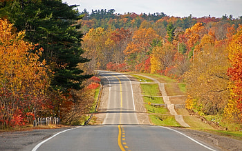 Landscape, Trees, Roads, Autumn HD wallpaper