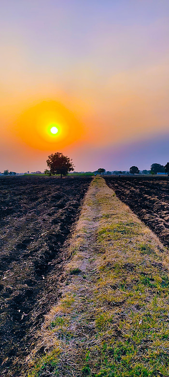 Nature , farm, farm house, village , evening , good morning , suprabhat, Nature , morning , evening, village , morning HD phone wallpaper