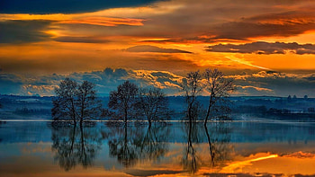 Reflection Sky, Water, Nature, Tree, Clouds, Sunset HD wallpaper
