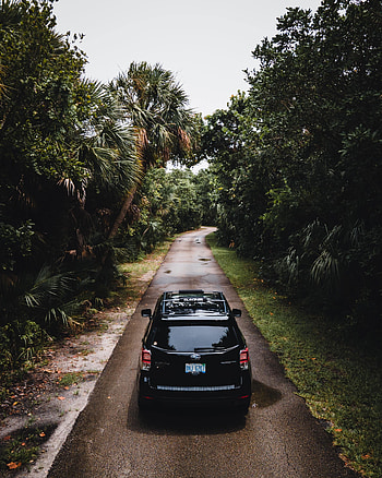 Subaru, Cars, Road, Car, Back View, Rear View, Subaru Forester HD phone wallpaper