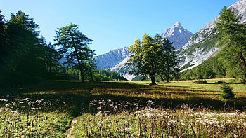 Karwendel, Tyrol, Austria, meadow, peaks, landscape, trees, sky, alps HD wallpaper