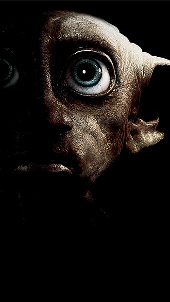 Harry Potter and the Deathly Hallows: Part 1 (2022) movie HD phone wallpaper
