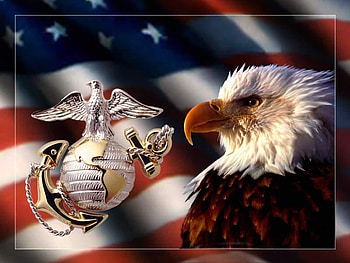 Eagle, abstract, graphy HD wallpaper