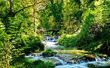 Nature, Rivers, Trees, Shine, Light, Forest, Branches, Cascades, Creek, Brook, Streams, Sunny, Flows HD wallpaper