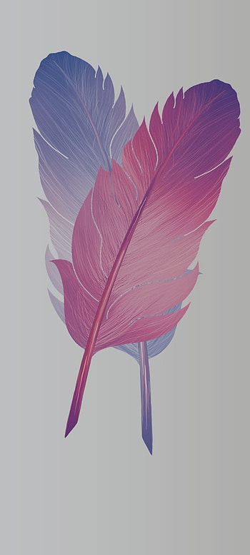 Colorful feather, magenta, new, simple123456 HD phone wallpaper