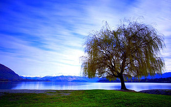 STANDING ALONE, landscape, mountains, lake, tree HD wallpaper