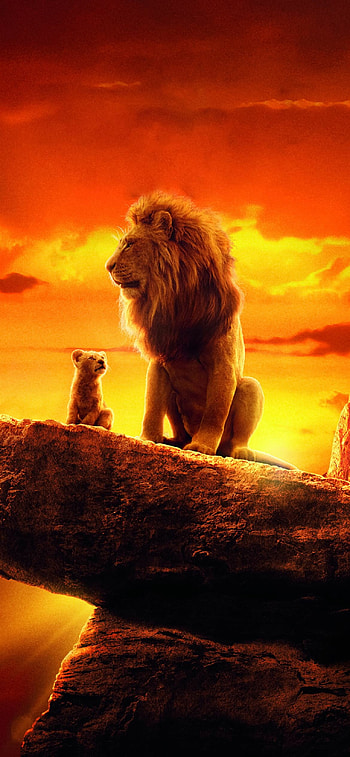 Simba and Mufasa, Lions HD phone wallpaper