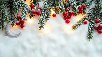 Christmas Pine & Berries — Ultra, Christmas HD wallpaper