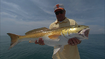 Fishing for Bull Reds and Jack Crevalle on the Space Coast with Bill Dance - YouTube HD wallpaper