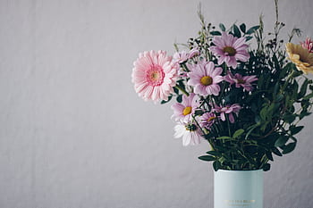 A stunning bouquet of pink gerbera daisies in a stylish vase against a soft background. HD wallpaper