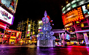 Holidays, Night, Christmas, Holiday, Square, Christmas Tree, Street, Area HD wallpaper