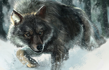 Wolf, animal, winter, art, painting, fantasy, pictura, iarna, luminos, lup HD wallpaper