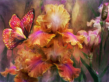 Irises and butterfly, summer, iris, art, carol cavalaris, flower, fluture, orange, vara HD wallpaper