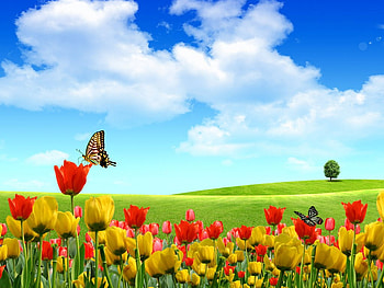a kingdom of dreams, 3d and cg, abstract HD wallpaper