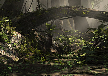 Fantasy-Forest, wood, forest, dark, light HD wallpaper