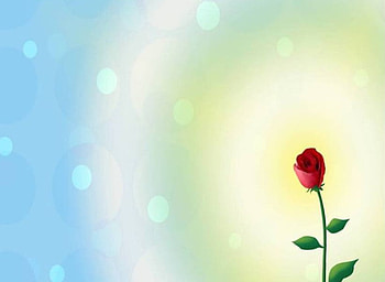 Red Rose, sun burst, spots HD wallpaper