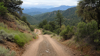OHV Mountain Trail, OHV, trail, dirt road, mountain, forest HD wallpaper