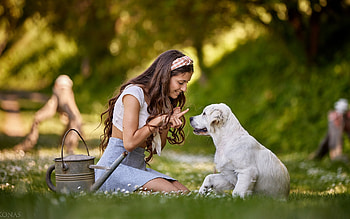 Girl with Golden Retriever Puppy, puppy, girl, smile, friends HD wallpaper