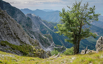 Alps in Italy, Alps, road, Italy, mountains, tree HD wallpaper