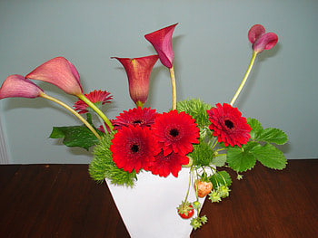 Wonderful Flowers, gerberas, strawberry, fruits, lilies, pot, calla HD wallpaper
