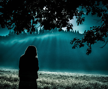 Girl Standing Under Tree, tree, nature, graphy, girl, alone, silhouette HD wallpaper