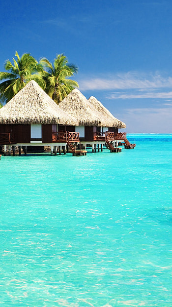 Tropical bungalow graphy, Tropical paradise, Beachfront getaway, Exotic travel HD phone wallpaper