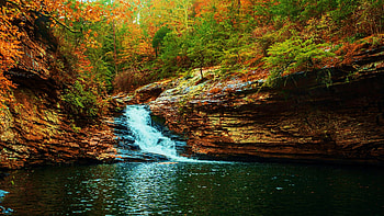 Lula Lake Land Trust, Tennessee, fall, autumn, waterfall, trees, colors, forest, usa HD wallpaper