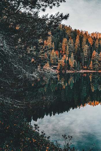 Nature, Water, Trees, Lake, Reflection, Forest HD phone wallpaper
