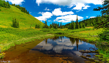 Landscape, Nature, Trees, Grass, Lake, Meadow HD wallpaper