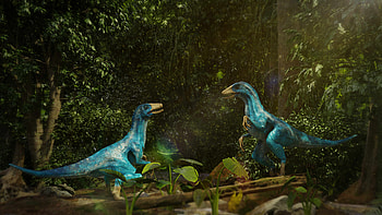 Siblings, Velociraptor HD wallpaper
