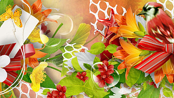 Bubbles Blossom Bird, netting, bird, ribbon, spring, orange, summer, butterfly, blossoms, bright, red, flowers, bubbles, heart HD wallpaper