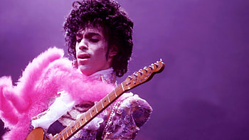 Purple Rain 2016 Prince HD wallpaper