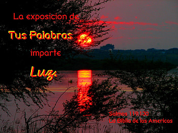Las Palabras de Dios dan Luz, moon, inspirational, verse, Bible, water, lake, sunset HD wallpaper