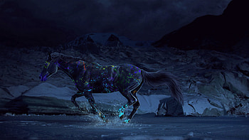 Water, Fantasy, Night, Paints, Horse, Gallop HD wallpaper