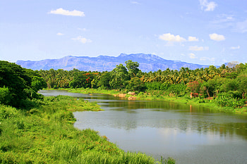 Shokanasini River Chittur - Tattamagnalam, shokanasini, river, tattamangalam, chittur HD wallpaper
