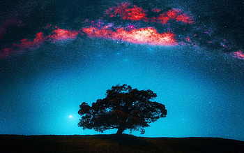 Lone tree under the Milky Way, Canterbury, New Zealand, clouds, colors, stars, sky, landscape HD wallpaper