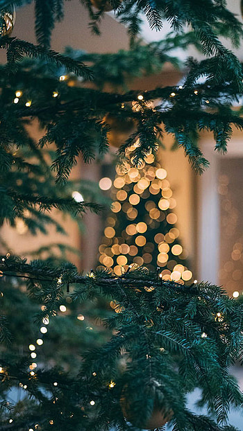 Christmas, Aesthetic HD phone wallpaper