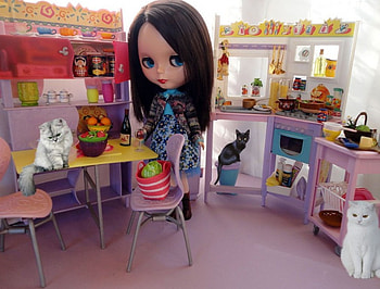 Weekend together, cats, kitchen, doll, enjoy HD wallpaper