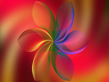 Beautiful Flower, Graphic, Colourful, Line, Flower HD wallpaper