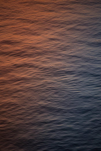 Nature, Water, Ripples, Ripple, Surface, Basin HD phone wallpaper