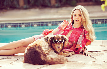 Amanda Seyfried 2019, amanda-seyfried, celebrities, girls, hoot HD wallpaper