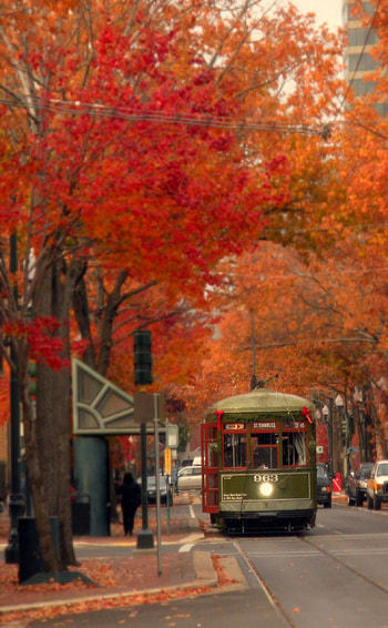 New Orleans, Louisiana ideas, Orleans, Travels HD phone wallpaper