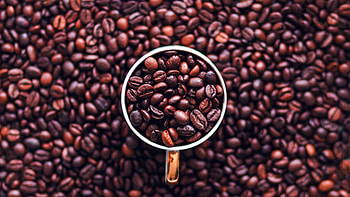 VT00 coffee bokeh, Pattern blue , Coffee HD wallpaper