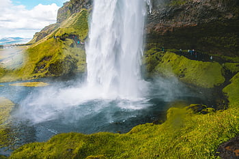 Experience the majestic Seljalandsfoss waterfall cascading over verdant moss in Iceland. HD wallpaper