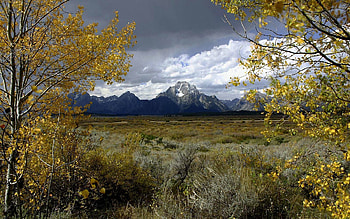 Nature, Trees, Grass, Sky, Autumn, Clouds, Mountain, Field, Withered, It's A Sly, Dahl, Distance HD wallpaper