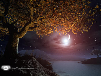 moon lit lake, trees, nature, moon, scenic HD wallpaper