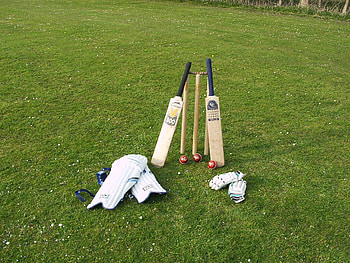 Cricket , High-quality , , Cricket HD wallpaper