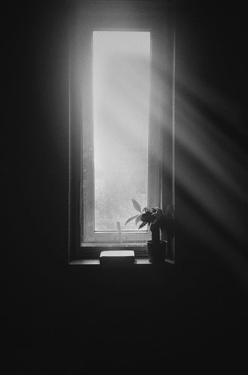 Silence, Bw, Chb, Window, Window Sill, Windowsill HD phone wallpaper